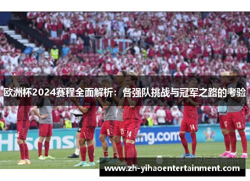 欧洲杯2024赛程全面解析：各强队挑战与冠军之路的考验