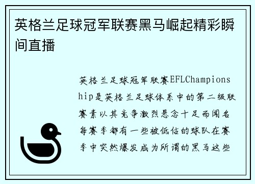英格兰足球冠军联赛黑马崛起精彩瞬间直播